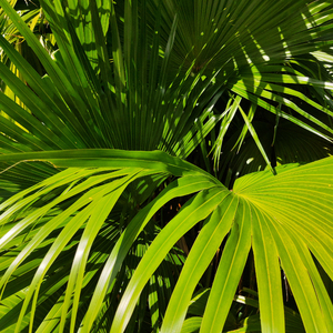 做爱插入喷水免费看
